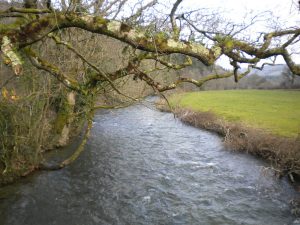 view upstream perry bridge